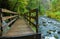 Wooden Bridge Beside Tanner Creek on The Wahclella Falls Trail