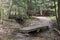 Wooden bridge on trail, Ash Cave, Ohio