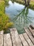 Wooden bridge and tree reflected in the river