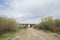 Wooden bridge trestle