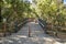 Wooden bridge at Twin Pines Park, Belmont