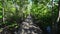 Wooden bridge walkway at Kung krabaen bay Mangrove forest at chanthaburi