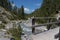 Wooden bridge in a wild romantic natural reserve park in th e part of Engadin in Switzerland