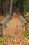 Wooden bridges in an autumn forest