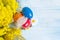 Wooden brightly colored Easter eggs with a feather and mimosa flowers. Easter eggs on a blue wooden background top view.