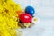 Wooden brightly colored Easter eggs with a feather and mimosa flowers. Easter eggs on a blue wooden background top view