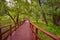 Wooden brown bridge in the park, autumn park, wooden path, distance path, forest platform, wooden railing, autumn park