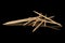 Wooden brown toothpick isolated on black glass