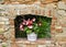 Wooden bucket with flowering begonia