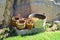 Wooden buckets and tubs in the courtyard of fortresses Guaita on