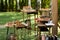 Wooden buffet table with snacks, appetizer and fruits