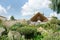 Wooden building being constructed in garden