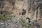 Wooden building in mountain rock, Cengia Martini footpath, Lagazuoi, Italian Alps