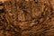 Wooden burned rustic texture for background. Rough weathered woo