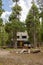 Wooden cabin in forest