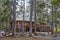 Wooden cabin in forest