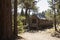 Wooden cabin in a forest, Big Bear, California, USA