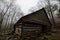 Wooden cabin in a mysterious foggy forest, with tall trees in the background