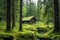 a wooden cabin tucked away in a protected forest