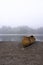 A wooden canoe on a beach