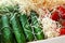 Wooden and cardboard crate box with fresh ripe tasty red tomatoes and green cucumbers with wood shavings filler