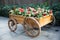 The wooden cart, flowers