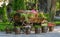 A wooden cart full of bright multicolored flowers . Wheeled cart with flowers in the city Park.Decoration, design, Floristics,