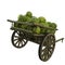 Wooden cart watermelons