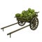 Wooden cart watermelons