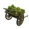 Wooden cart watermelons