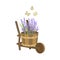 Wooden cart with a wheel and lilac lavender with green leaves on a white background