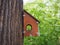 A wooden carved birdhouse on a tree stump, a feeder for birds in the park