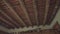 Wooden ceiling architecture