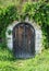 Wooden cellar door