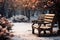 A wooden chair sits against a softly blurred winter garden