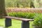 Wooden Chair in a tulip colourful park