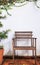 Wooden chair on white wall covered with Climbing fig creeping fig, Ficus pumila leaves. Ornamental Garden, Landscaping