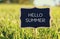 Wooden chalkboard sign with quote: HELLO SUMMER