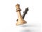 wooden chess queens on a white background. 3d render