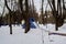 Wooden children`s slide with ice descent