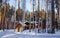 Wooden church in the woods in winter Ural Ekaterinburg Ganin Yama