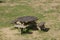 Wooden circular picnic table with seats