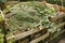 Wooden compost bin