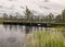 A wooden construction walking bridge in the middle of the swamp. View of the beautiful nature in the swamp - a pond, conifers,