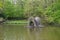 Wooden construction for water birds in a pond at the Tenreuken city park, Auderghem, Belgium