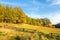 Wooden corral in autumn landscape