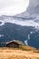 Wooden cottage in dolomities alps Italy