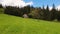 Wooden cottage in the mountains, sunny spring day with green grass and flowering meadow.