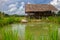 Wooden cottage in rice field and fish pond