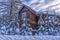 Wooden cottage snowy in winter and trees in the snowfall